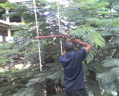 01-07-11_1121.JPG (41228 Byte)