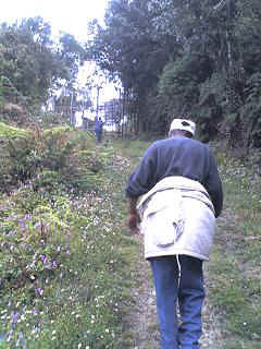 Morogoro8.JPG (28624 Byte)