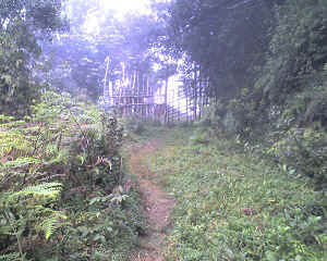 21-06-12_1010.jpg (72916 Byte)