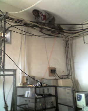 21-06-12_1326.jpg (42577 Byte)