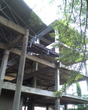 12-03-12_1458.jpg (29159 bytes)