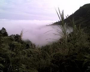 15-03-12_0733.jpg (11542 bytes)