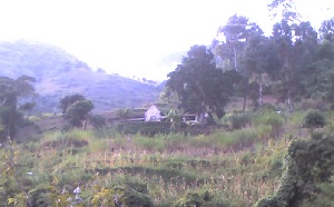 Moringsite.jpg (24151 Byte)