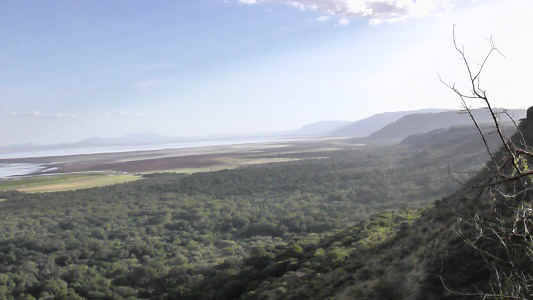 20130125_160204.jpg (51986 Byte)