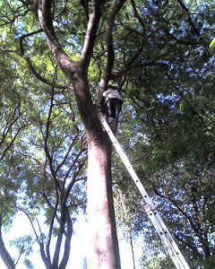 26-01-13_0932.jpg (64111 Byte)