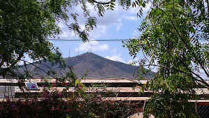 IMAG0174.jpg (51953 bytes)