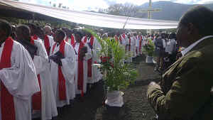 IMAG0220.jpg (34455 bytes)