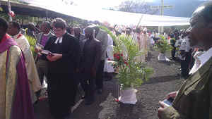 IMAG0228.jpg (35088 bytes)