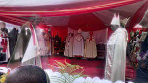 IMAG0245.jpg (37352 bytes)