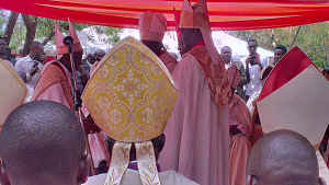 IMAG0260.jpg (39131 bytes)