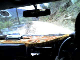 Mlalo1.JPG (20078 Byte)