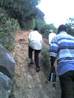 Mlalo12.JPG (22725 Byte)