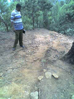 Mlalo13.JPG (25103 Byte)