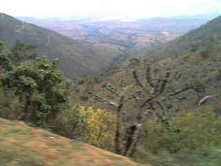 Mlalo4.JPG (17004 Byte)