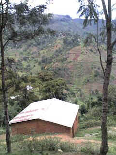 Mlalo8.JPG (26153 Byte)