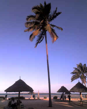 06-12-12_1736.jpg (37745 Byte)