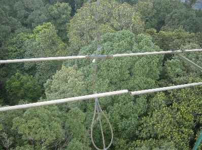 Kidia3.jpg (20534 bytes)