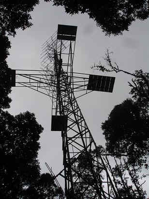 Kidia1.JPG (53551 Byte)