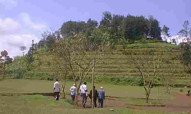 Sura_4.jpg (14206 bytes)