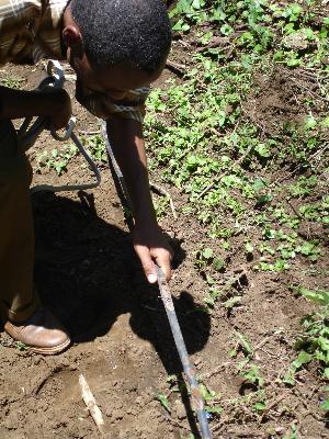 Kivesi5.jpg (46458 Byte)