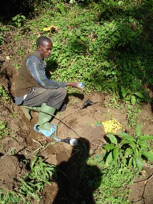 Kivesi6.jpg (47877 Byte)