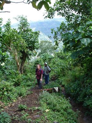 Kivesi4.jpg (47419 Byte)