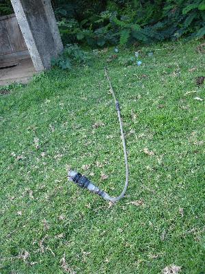 Kivesi7.jpg (47714 Byte)