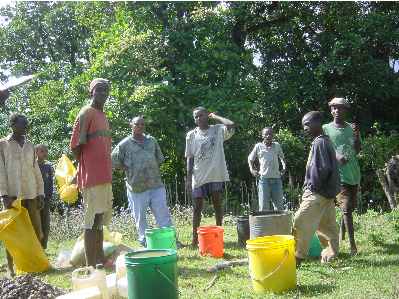 Kivesitower 10.jpg (25934 bytes)