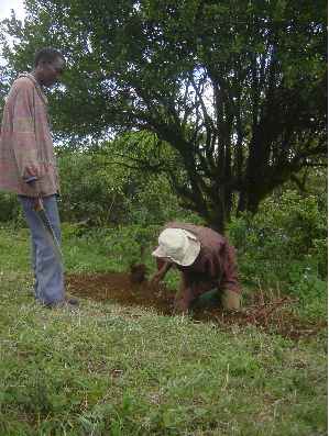 Kivesitower 13.jpg (22133 bytes)