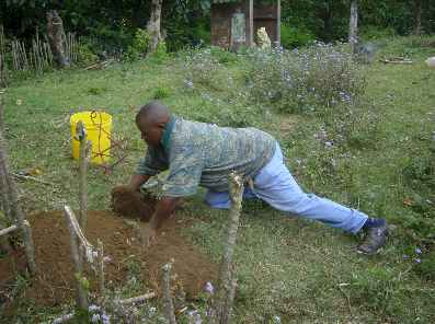 Kivesitower 14.jpg (19208 bytes)