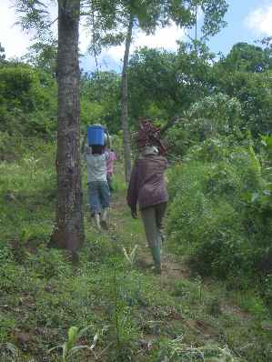 Kivesitower 6.jpg (18828 bytes)