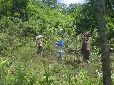 Kivesitower 7.jpg (23306 bytes)