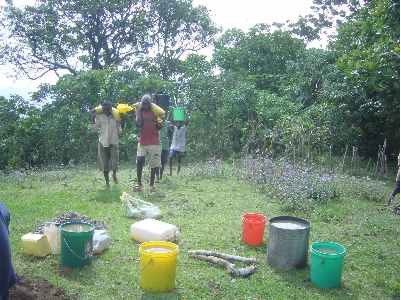 Kivesitower 9.jpg (23511 bytes)