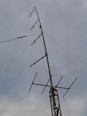 Hagweant.jpg (10185 Byte)