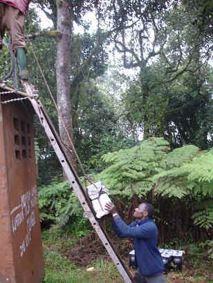 Battery_5.JPG (24722 Byte)