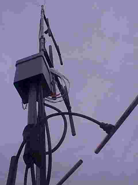 Ant7.jpg (26667 bytes)