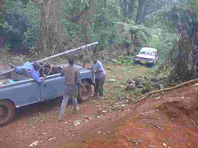 PIC00002.jpg (74126 bytes)