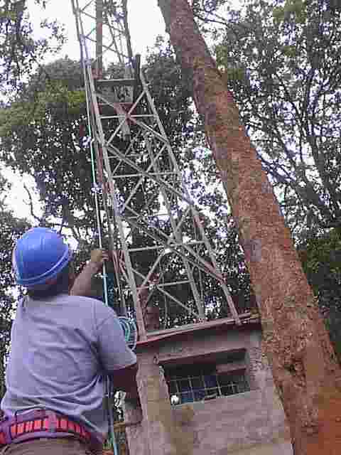 PIC00005.jpg (83895 bytes)