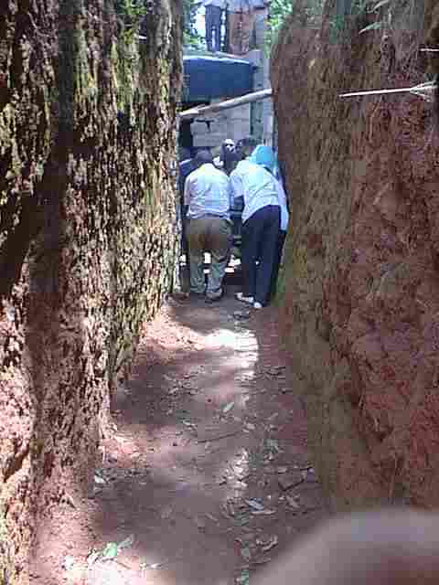 gen3.jpg (70415 bytes)