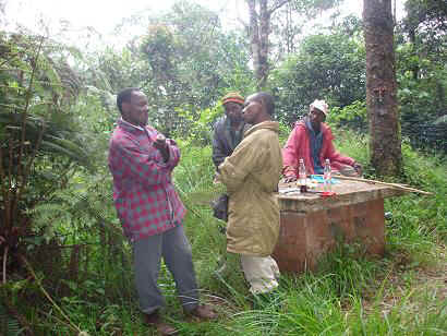 Kidia6.JPG (62289 Byte)