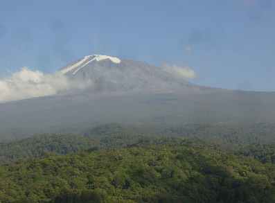 newant8.jpg (6946 bytes)