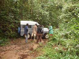 Kidia4.JPG (42348 Byte)