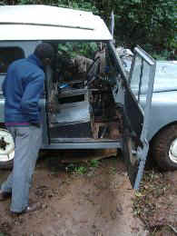 Kidia5.JPG (32189 Byte)