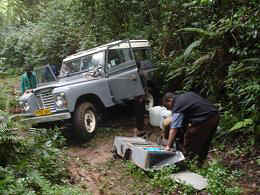 Kidia7.JPG (38467 Byte)