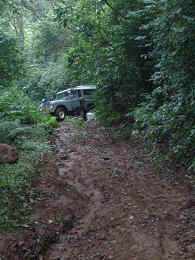 Kidia8.JPG (34680 Byte)