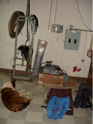 Bondwa13.jpg (37977 Byte)