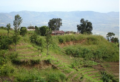 Bondwa18.jpg (46471 Byte)