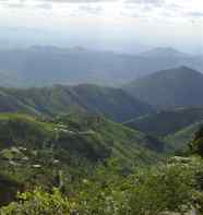 Sheng7.jpg (3902 bytes)