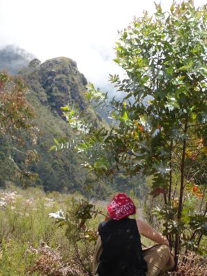 Mlalo3.jpg (36755 Byte)