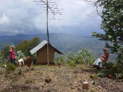 Seguruma12.jpg (139906 bytes)